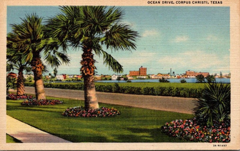 Texas Corpus Christi Ocean Drive Curteich