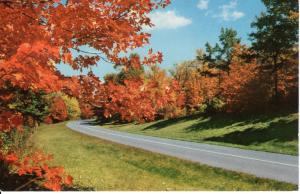 US    PC1323  AUTUMN COLOR, BLUE RIDGE PARKWAY