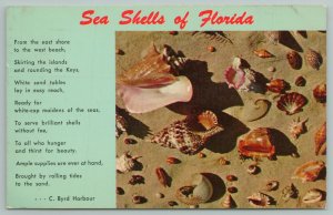 Florida~Sea Shells In The Sand & Poem~Vintage Postcard