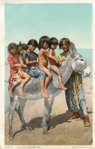c1907 Phostint Indian Postcard 12217 Hopi Unlimited 5 Children on Burro Arizona