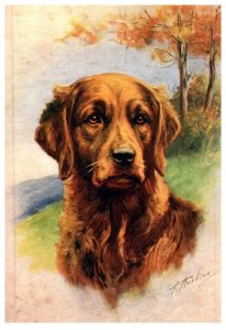 Dog ,   Golden Retriver , artist signed