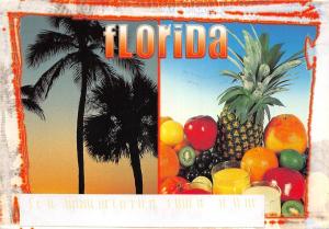 B52252 Florida fruits multiviews  usa