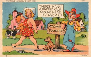 Vintage Postcard 1939 Everything Grow In A Big Way Here Rooms Tourist Comic