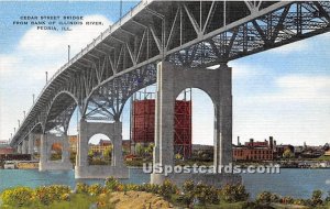 Cedar Street Bridge, Illinois River - Peoria