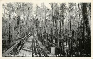 RPPC Postcard Okefenokee Swamp Park Boardwalk, Waycross GA 2-V-127 Cline?