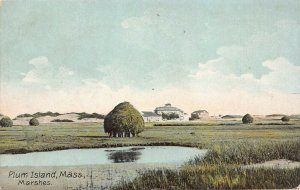 LPS73 PLUM ISLAND Massachusetts Marshes Postcard
