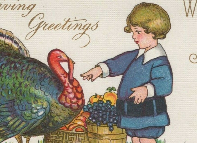 Thanksgiving Greetings turkey pilgrim boy grapes embossed c1910 postcard A804 