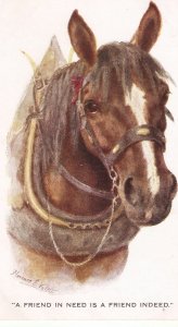 Fl, Walker. Horse. A Friend in need..  Old Vintage  Intern Art Artistique  A