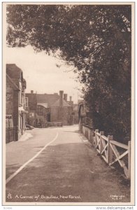 A corner of Beaulieu , NEW FOREST , England , 1910s ;  TUCK