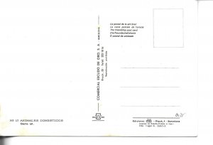 Aanimals. Two,dogs Modern Spanish photo postcard 1970s