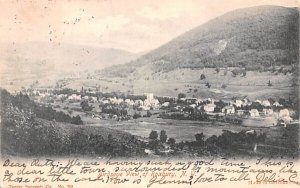 Bird's Eye View Roxbury, New York  