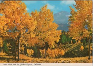 America Postcard - Colorado - Pikes Peak and The Golden Aspens RR17279