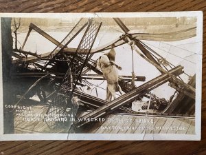 Original Vintage Postcard Early 1900's RPPC Real Photo Dead Horse From Flood