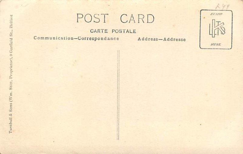 Children with Teddy Bears Postcard