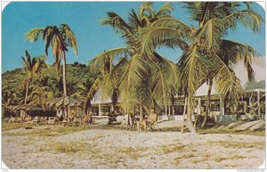 Anchorage Hotel, Antigua, British West Indies, 40-60s