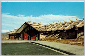 Fall River Pass Colorado 1960s Postcard Alpine Visitor Center