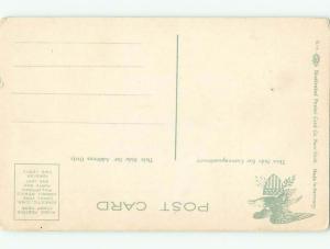 Divided-Back YOSEMITE VALLEY IN PARK Stockton & Modesto California CA W5289