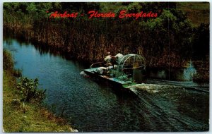 Postcard - Airboat - Florida Everglades, Florida