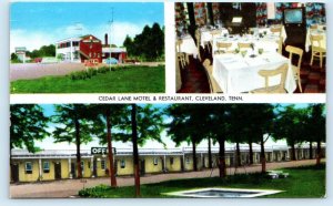 CLEVELAND, TN Tennessee ~ CEDAR LANE MOTEL & Restaurant 1959 Roadside Postcard
