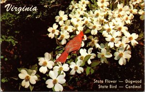 Virginia VA State Flower Bird Dogwood Cardinal Old Dominion State Postcard UNP 