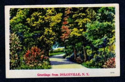 NY Greetings from DOLGEVILLE NEW YORK PC Postcard Linen