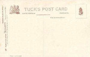 Tuck's Native Types Of India. Postcard. Saiyad Mobarik Ali, Learned Man