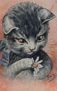 He Loves Me Not Flower Game Louis Wain Cat Style Cats Postcard