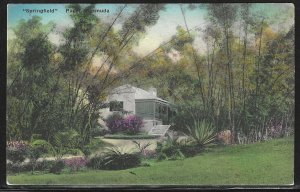 Springfield, Paget, Bermuda, Early Hand Colored Postcard, Unused