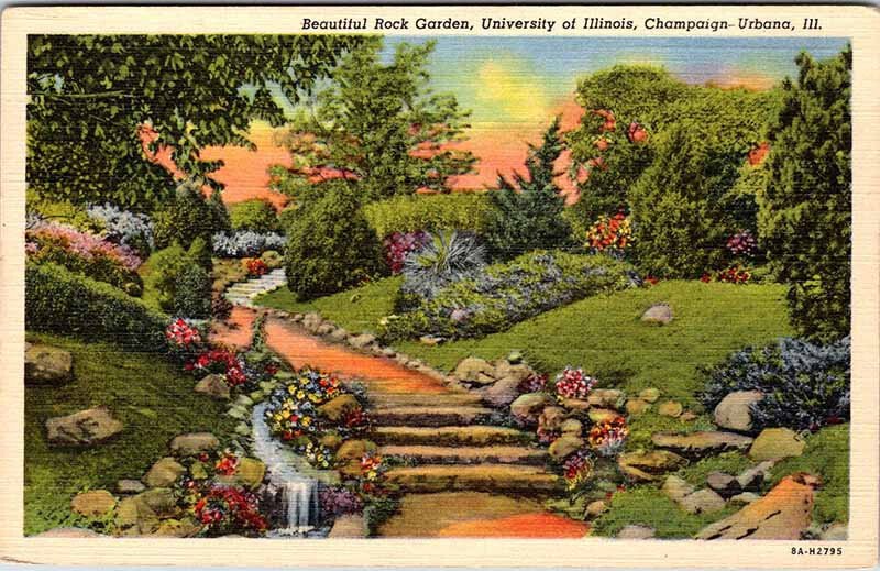 Postcard GARDEN SCENE Champaign-Urbana Illinois IL AL1349