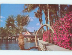 Unused 1950's BUILDINGS BY THE GLASS BOTTOM BOATS Silver Springs FL r9842