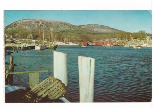 A Touch Of Winter, Camden, Maine, Vintage 1967 Chrome Postcard