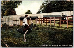 1909 Hot Springs AK-Arkansas, Man Riding An Ostrich, Vintage Postcard