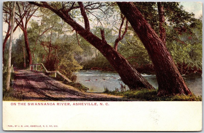 On the Swannahoa River Asheville North Carolina NC Trees Postcard