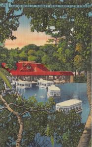 Silver Springs Florida~Glass Bottom Boats Leaving Dock~Info on Bk~1940s Postcard