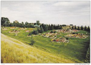 Sick's Lethbridge Brewery Gardens , LETHBRIDGE , Alberta , Canada , 60-80s