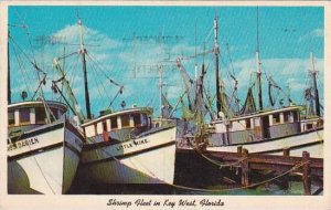 Florida Key West Shrimp Fleet In Key West 1962