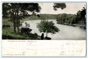 1907 Glimpse Cedar River Lake Exterior Waverly Iowa IA Vintage Antique Postcard