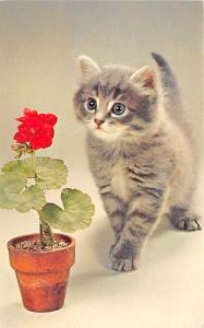 Flower Lover, Color by FPG Cat Unused 