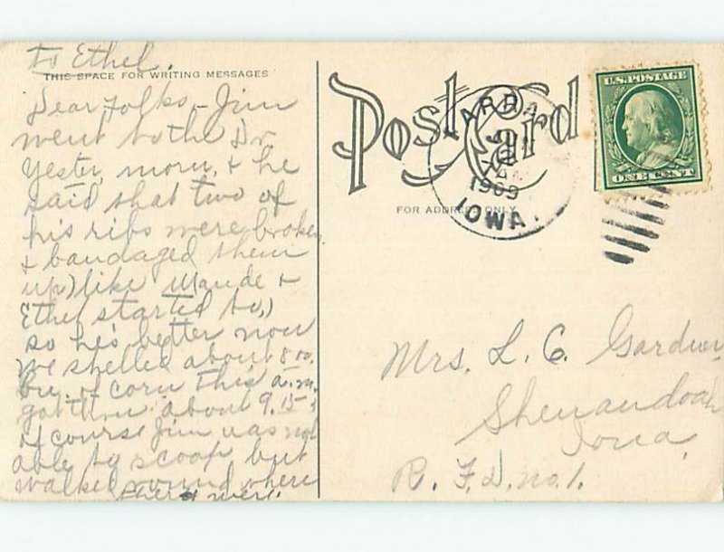 Divided-Back LAKE SCENE & BEAUTIFUL VIOLET FLOWERS o9315