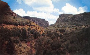 Spearfish Canyon  Black Hills SD 