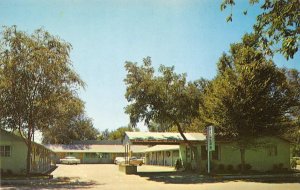 WILLOW MOTEL Lone Pine, CA Death Valley Inyo County Roadside Vintage Postcard