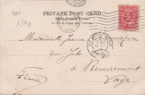 Canada Quebec The River Le Fleuve Vintage Postcard C075