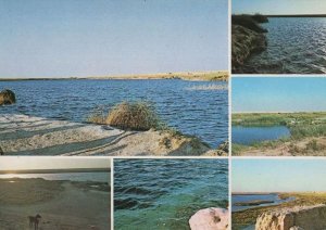 Leyla Lakes Riyadh Saudi Arabia Rivers Rare Arabic Postcard