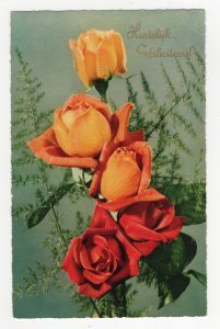 Heartfelt Congratulations - Hartelijk Gefeliciteerd