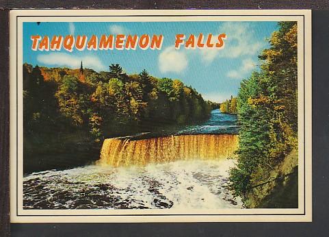 Tahquamenon Falls Near Paradise MI Postcard BIN 