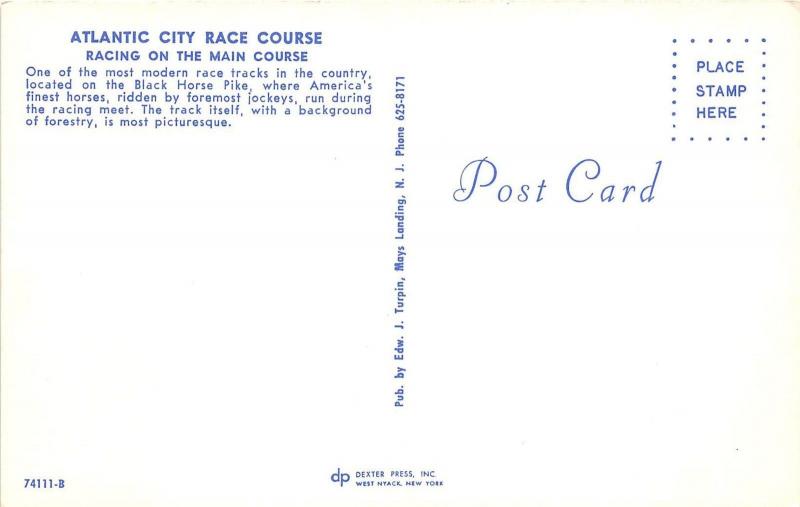 E4/ Atlantic City New Jersey NJ Postcard Chrome Horse Race Track Grandstand 1