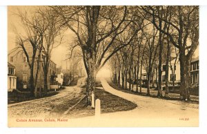 ME - Calais. Calais Avenue