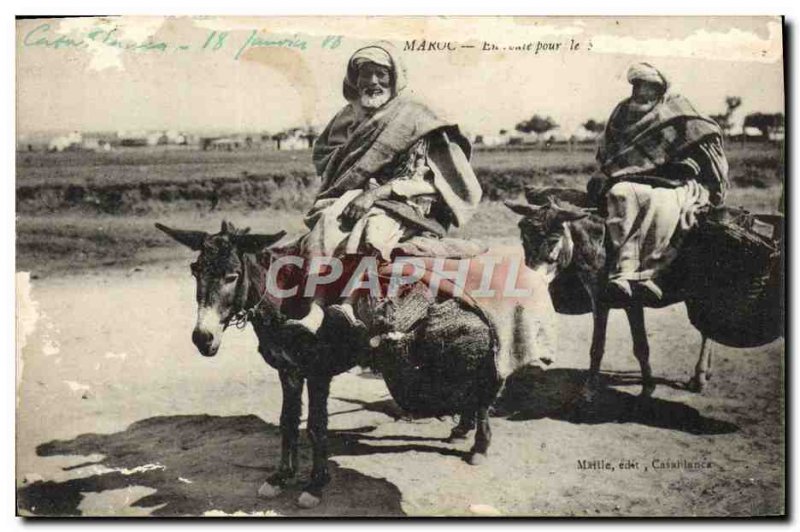 Old Postcard Morocco Donkeys Mules