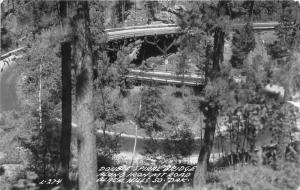 Black Hills South Dakota~Double Spiral Bridge Along Iron Mt Road~1940s RPPC