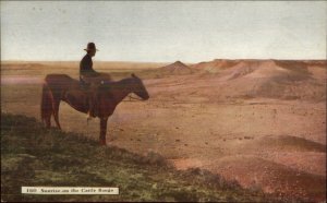 Matteson Postcard - R. Steinman - Cattle Range Cowboy on Horse #160 Postcard